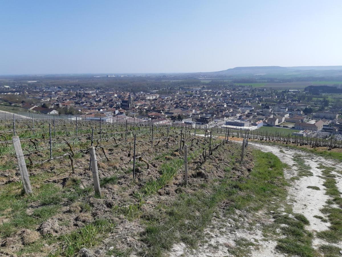 Mareuil-sur-AyLa Cour Des Marotiers住宿加早餐旅馆 外观 照片