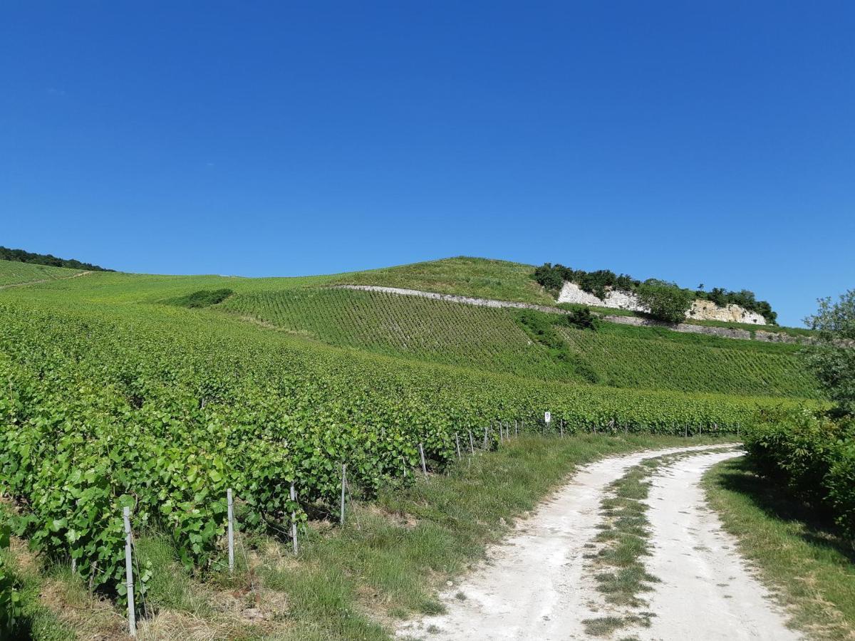 Mareuil-sur-AyLa Cour Des Marotiers住宿加早餐旅馆 外观 照片